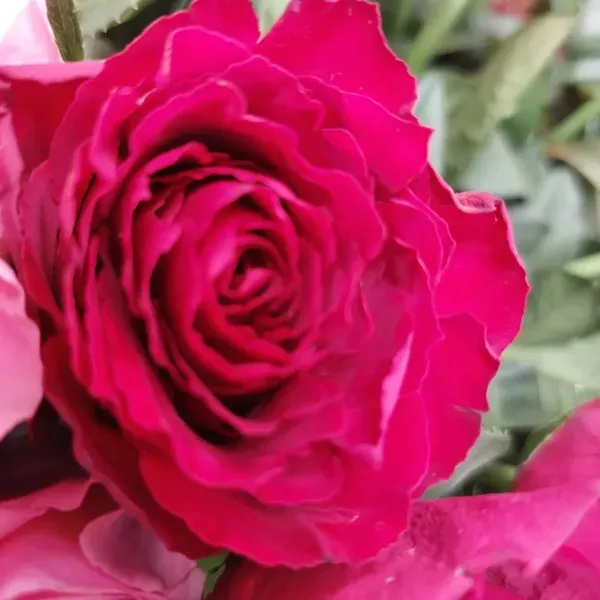 composition-fleur (8)