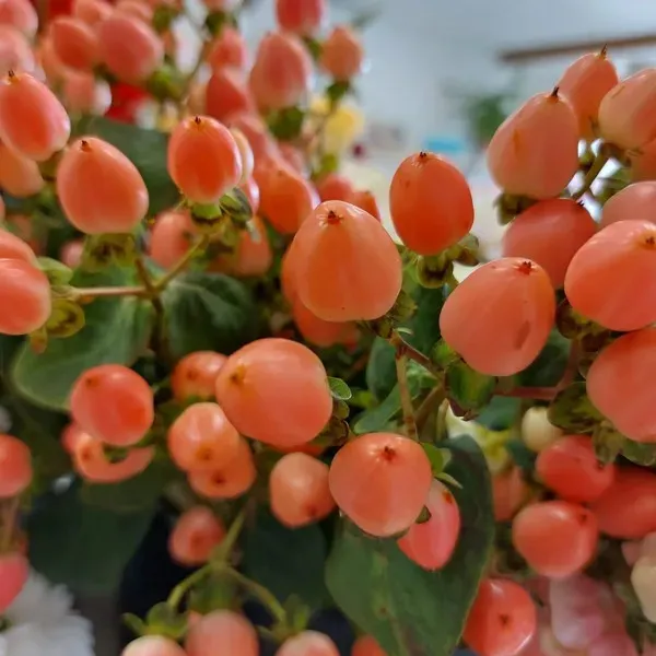 composition-fleur (2)