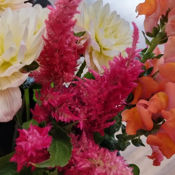 composition-fleur (5)